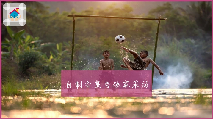 自制合集与独家采访