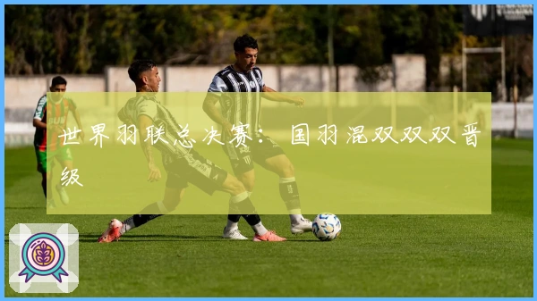 世界羽联总决赛：国羽混双双双晋级