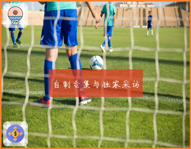 自制合集与独家采访